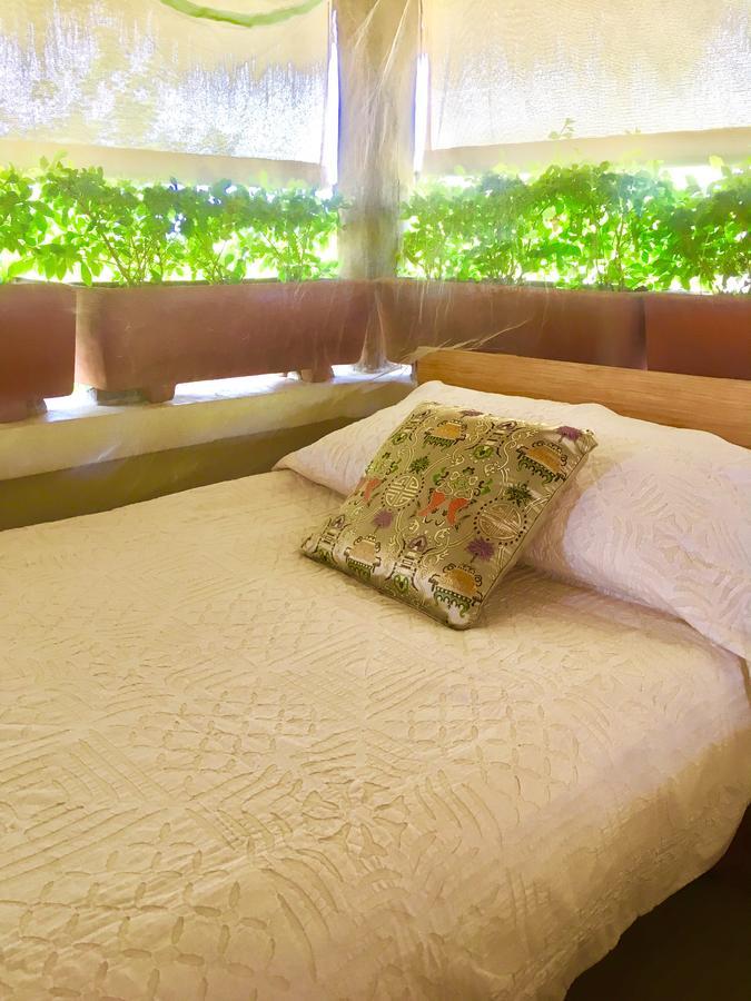 Villa Maria Bed And Breakfast Puerto Escondido  Exterior photo